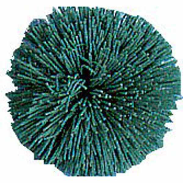 POM POM