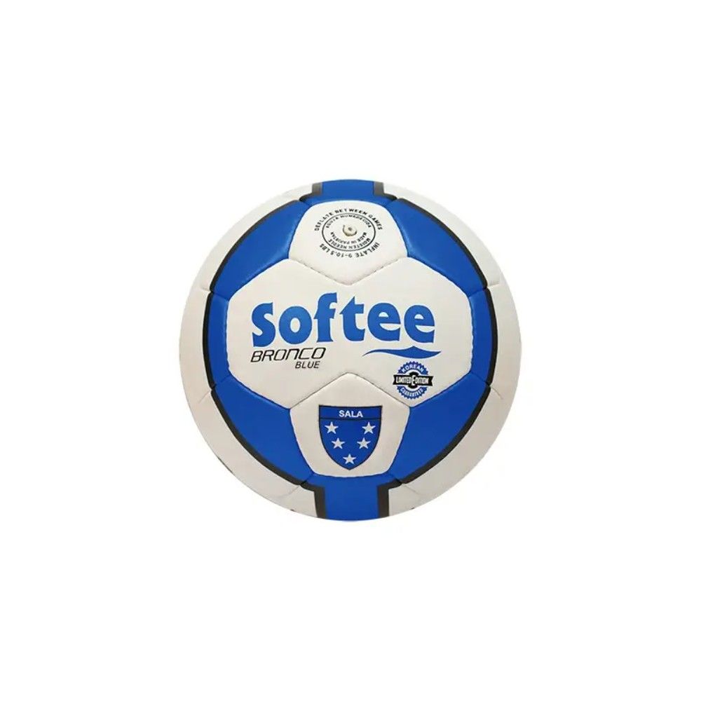 LOTE 10 BALONES FUTSAL EDICION LIMITADA