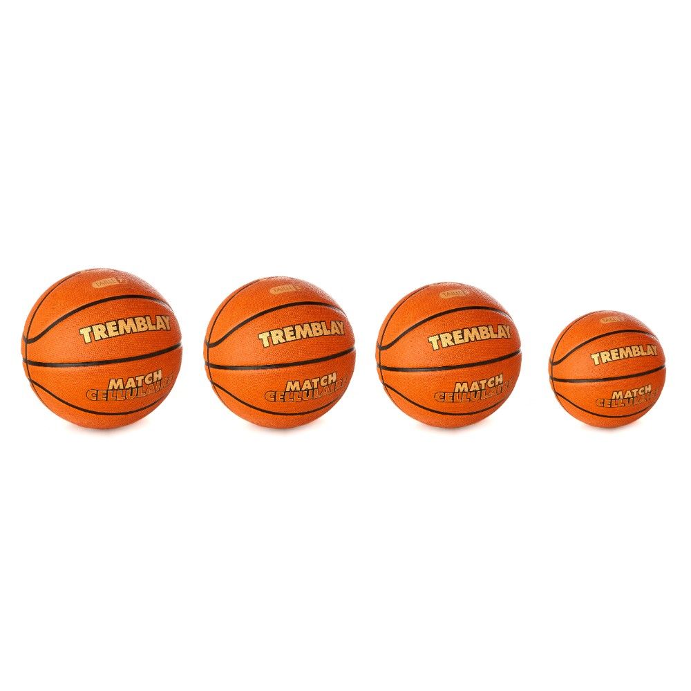 LOTE DE 10 BALONES BALONCESTO TREM MATCH COMPETICION