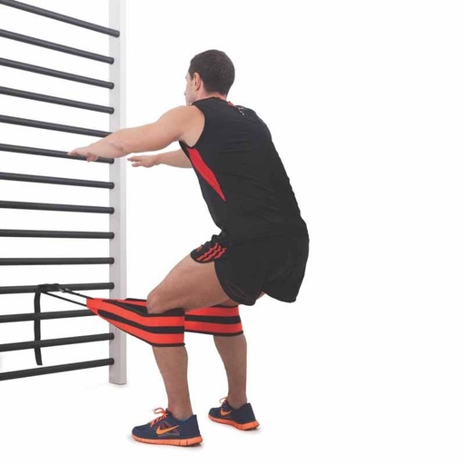 [0821] CINTURON RUSO DE ENTRENAMIENTO DE FUERZA