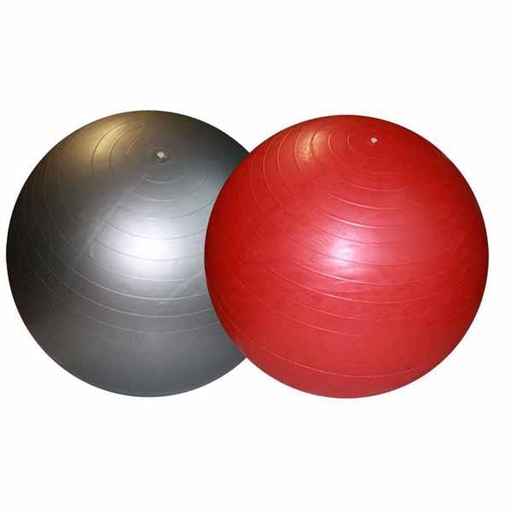[0783] LOTE 4 PELOTAS FITNESS CON GOMAS