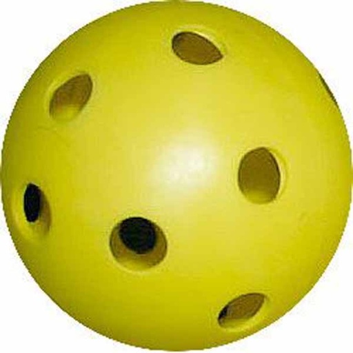 PELOTA FLOORBALL