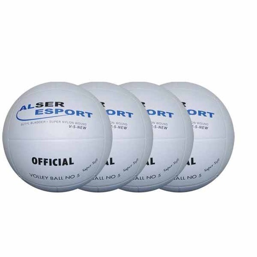 [0654] LOTE 10 PELOTAS VOLEIBOL IRUMA ENTRENAMIENTO