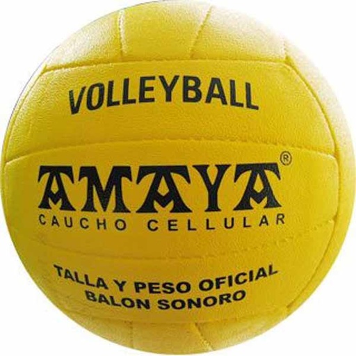 [0361] VOLEIBOL SONORO INCLUSIVO AMAYA