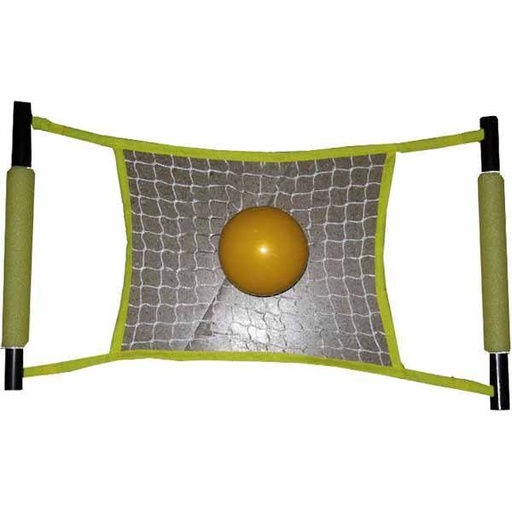 [0350] SET JUEGO REBOTE CON RED PROFESIONAL