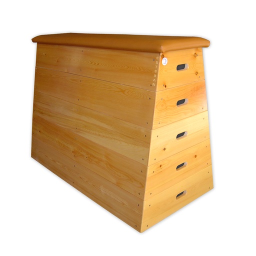 [0287] PLINTO DEPORTIVO PIRAMIDAL 5 SEGMENTOS