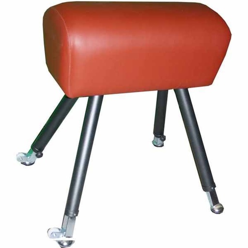 [0285] POTRO INFANTIL AJUSTABLE GIMNASIA NIÑOS