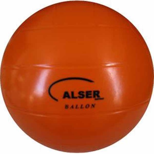 [0007] PELOTA VOLEIBOL ESCOLAR 6 COLORES PVC RESISTENTE