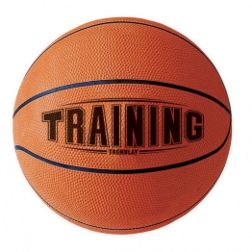 [1306] LOTE 10 BALONES BALONCESTO BTR7 TAMAÑO B7