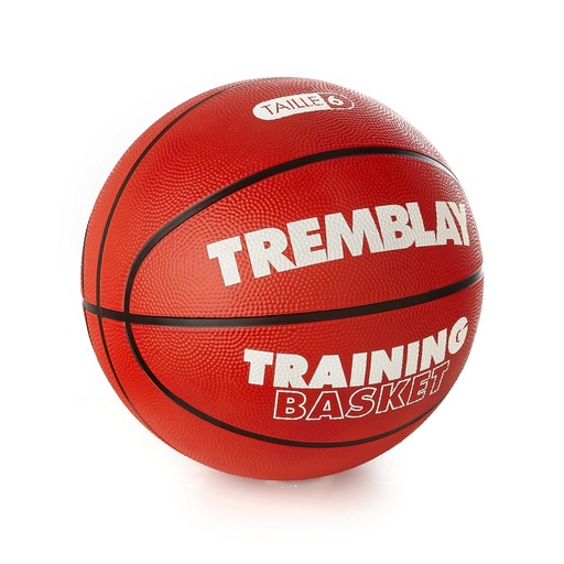 [0876] BALON BALONCESTO BTR6 MICROCELULAR DURADERO